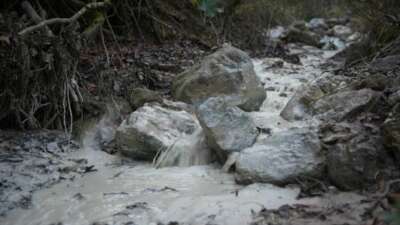 Yenişehir Belediye Başkanı Ercan Özel,