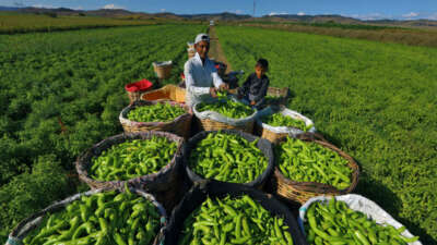 Yenişehir Belediyesi, Avrupa Birliği ve