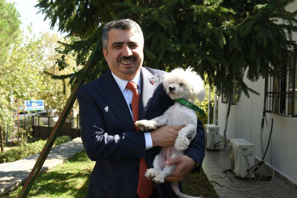 Yıldırım’da 1000’e yakın patili can sıcak yuvalarına kavuştu