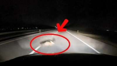 Bandırma-Karacabey yolunda seyir halinde olan