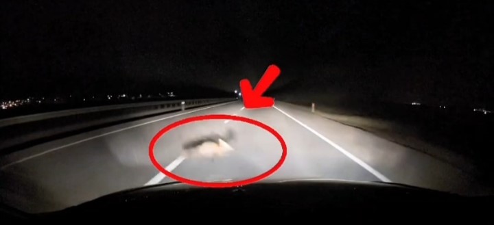 Bandırma-Karacabey yolunda seyir halinde