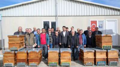 Bursa Büyükşehir Belediyesi, kentteki