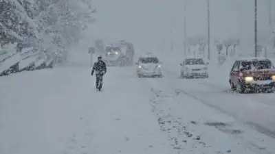 Geçtiğimiz hafta yaşanan bahar havasının