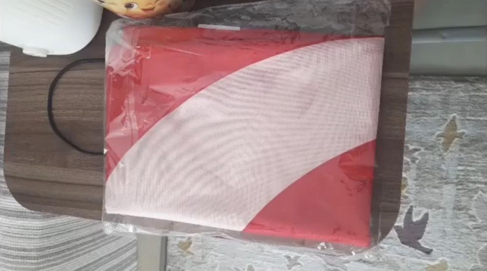 Bursa’da kuryenin bayrak hassasiyeti tüyleri diken diken etti! Bursa'da kuryenin bayrak hassasiyeti