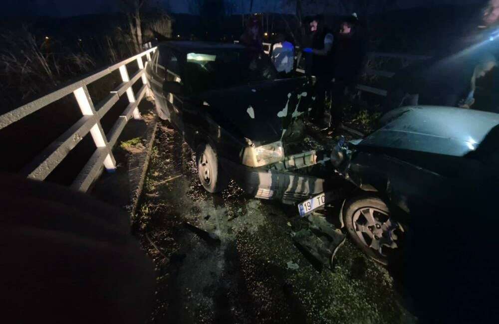 Bursa'nın İnegöl ilçesinde iki