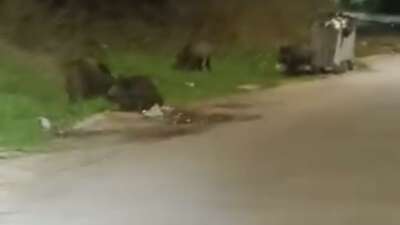 Bursa'da gece saatlerinde mahalleye inen