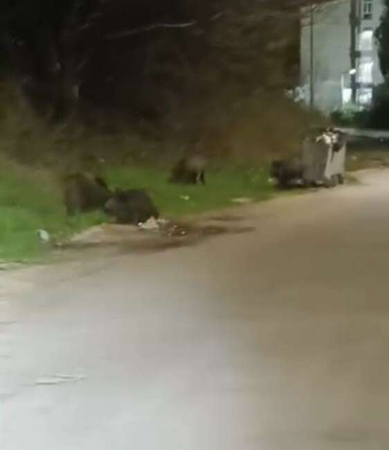 Bursa'da gece saatlerinde mahalleye