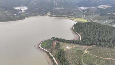 Bursa'nın dünyaca ünlü simge tarım