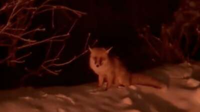 Bursa’da Uludağ yolu üzerinde bir