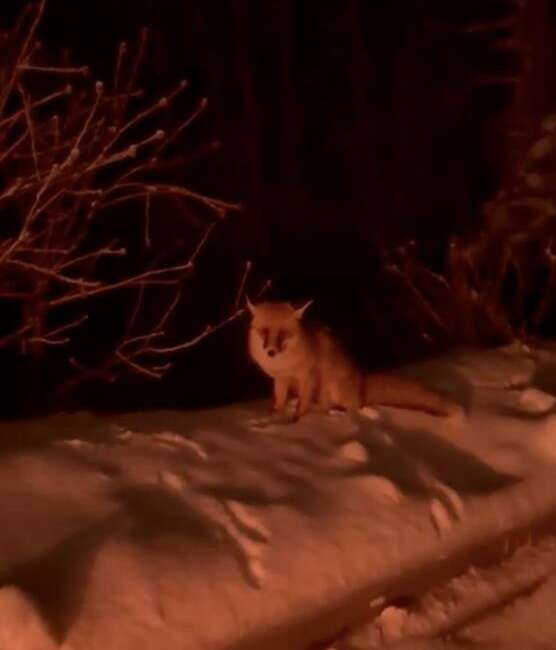 Bursa’da Uludağ yolu üzerinde