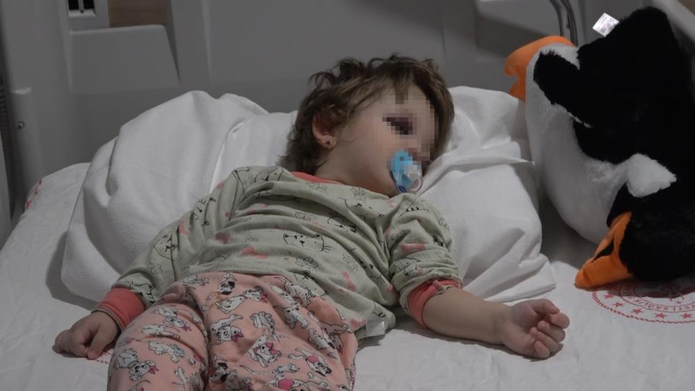 Yalova'nın Çınarcık ilçesinde gürültü