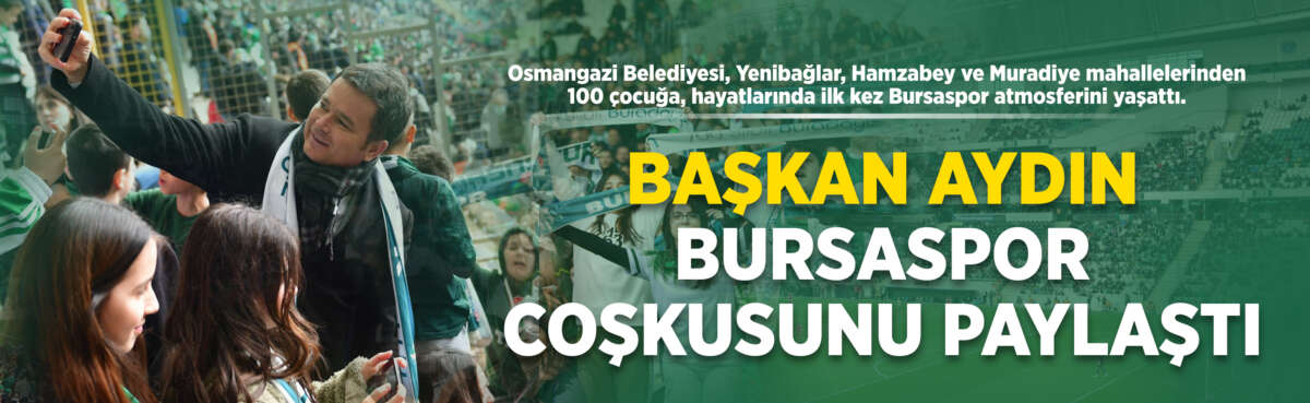 Osmangazi Belediyesi, Yenibağlar, Hamzabey ve