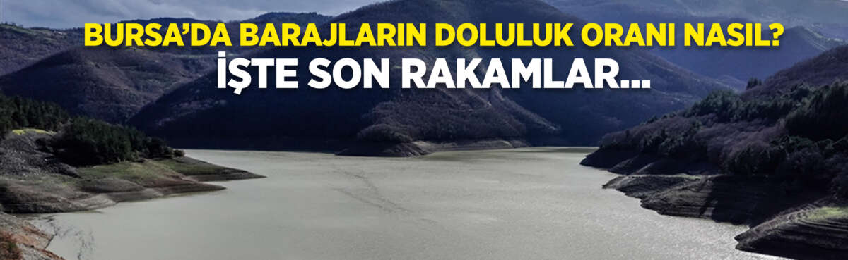 Sonbaharı kurak geçiren ve bu