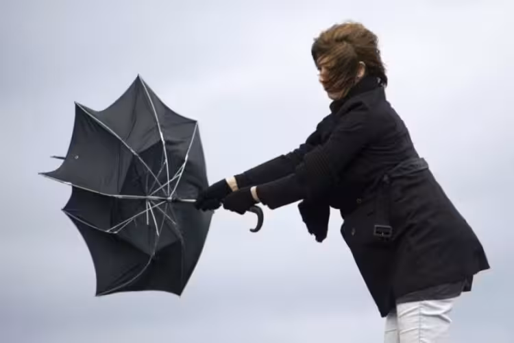 Bursa Valiliği, Marmara Denizi