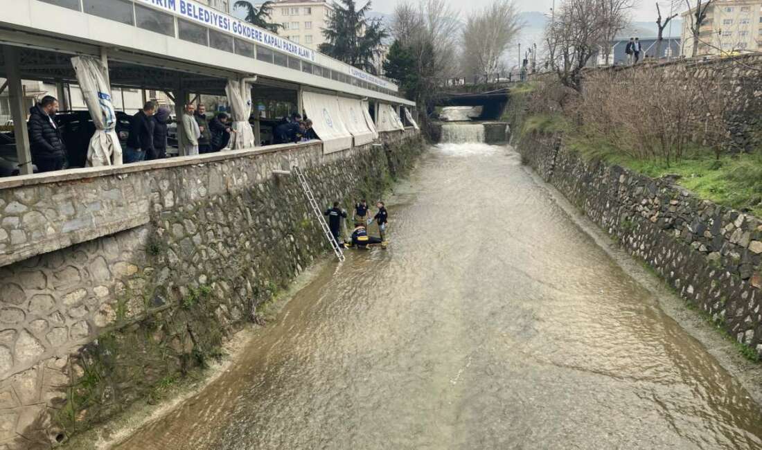 Bursa'nın Yıldırım ilçesinde dereye
