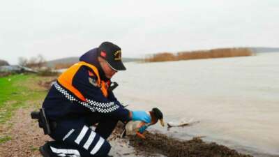 Bursa’da jandarma ekiplerinin Uluabat Gölü’nde