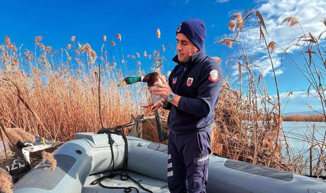 Bursa'da, Nilüfer Jandarma Asayiş