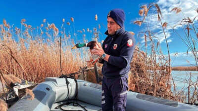 Bursa'da, Nilüfer Jandarma Asayiş Bot