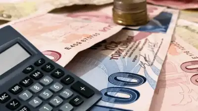 Bursa Valiliği, Yerel Kalkınma Hamlesi