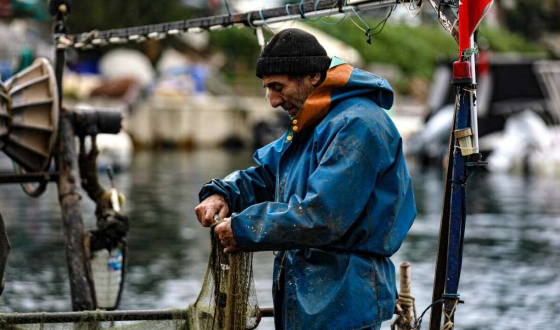 Bursa Büyükşehir Belediyesi’nin tarımsal