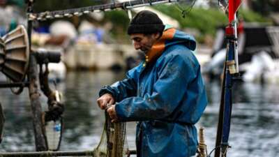 Bursa Büyükşehir Belediyesi’nin tarımsal üretimi