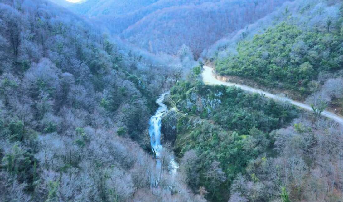 Bursa’nın Gemlik ilçesine bağlı