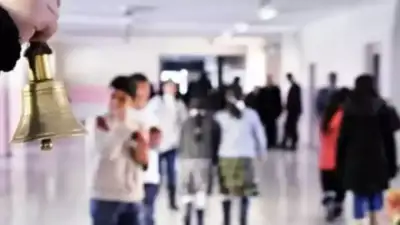 Okul öncesi, ilkokul, ortaokul ve