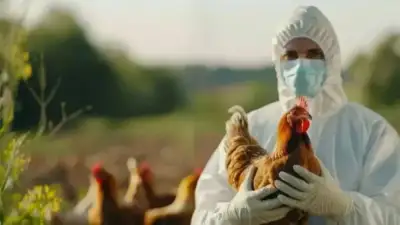 Yakın Doğu Üniversitesi Rektörü ve