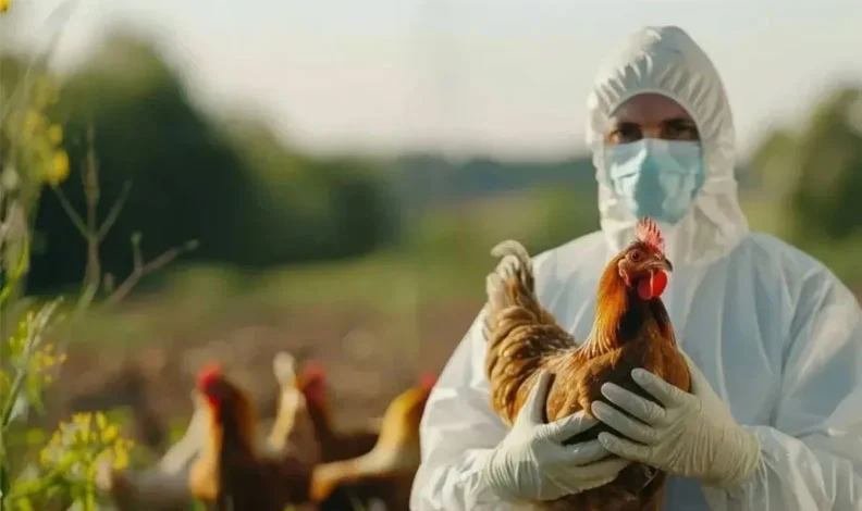 Yakın Doğu Üniversitesi Rektörü