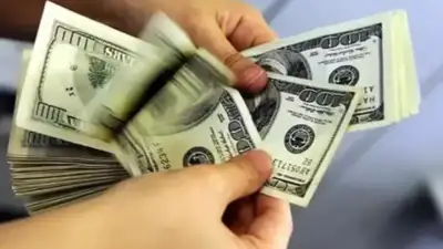 Hazine ve Maliye Bakanlığı, yetkisiz