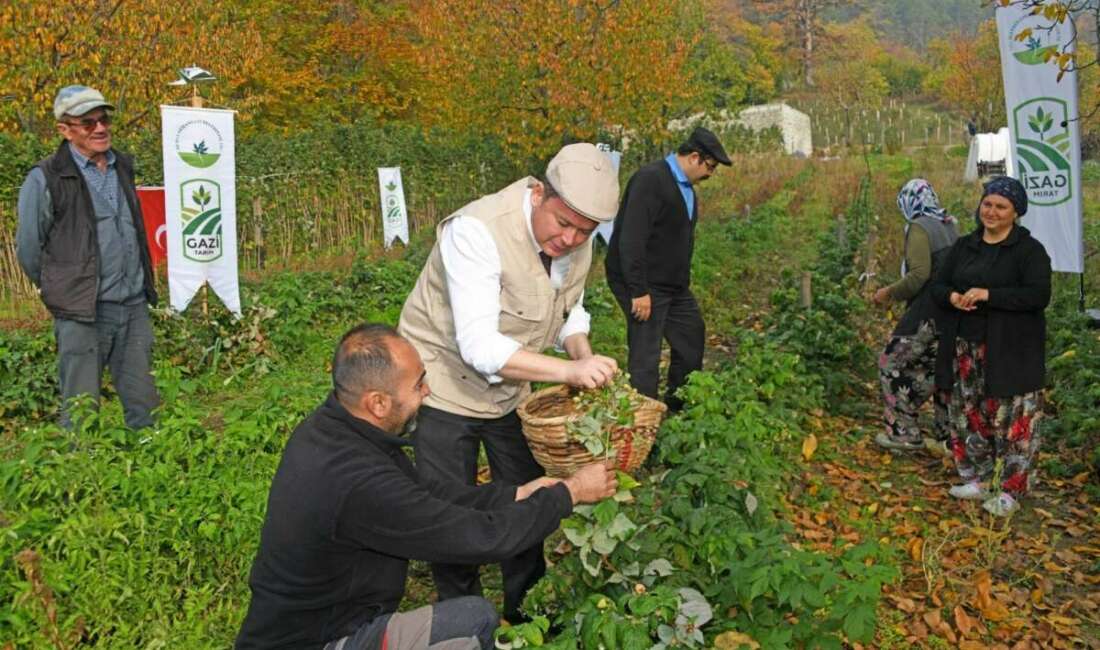 Osmangazi Belediye Başkanı Erkan