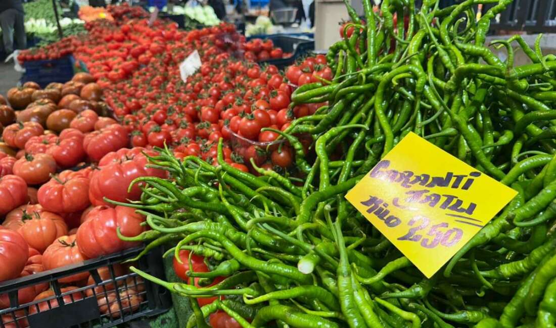 Ocak sonunda 80-100 liradan