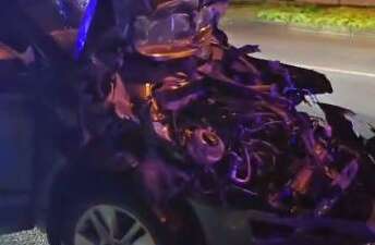 Bursa'nın Mudanya ilçesinde yol üzerinde