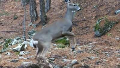 Doğa ve kış turizminin önemli