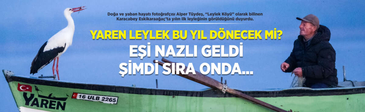 Doğa ve yaban hayatı fotoğrafçısı