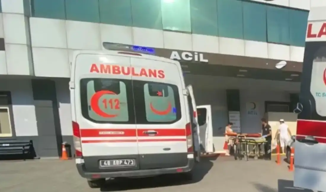 17 yaşındaki abi 16 yaşındaki kardeşini katletti! Akılalmaz cinayet… Muğla'nın Milas ilçesinde 16