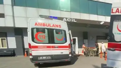 Muğla'nın Milas ilçesinde 16 yaşındaki