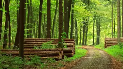 Resmî Gazete’de yayımlanan Cumhurbaşkanı Kararı