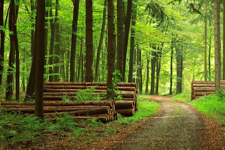 Resmî Gazete’de yayımlanan Cumhurbaşkanı