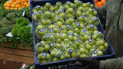 Yaz meyvesi erik çıktı. Türkiye’den