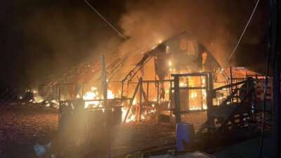 Bursa İnegöl'de bir çiftlikte çıkan