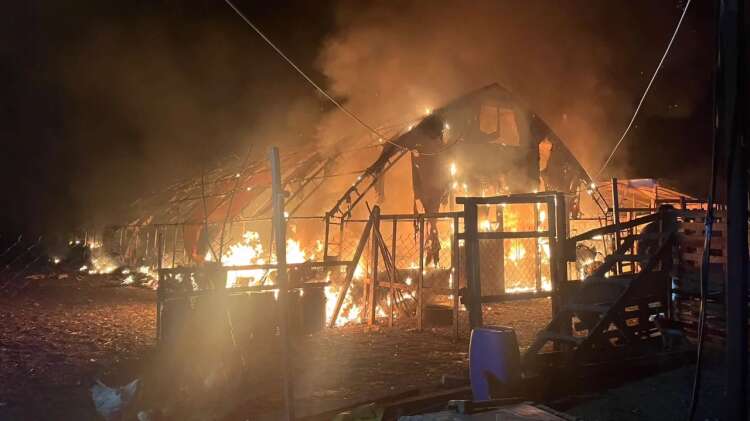 Bursa İnegöl'de bir çiftlikte