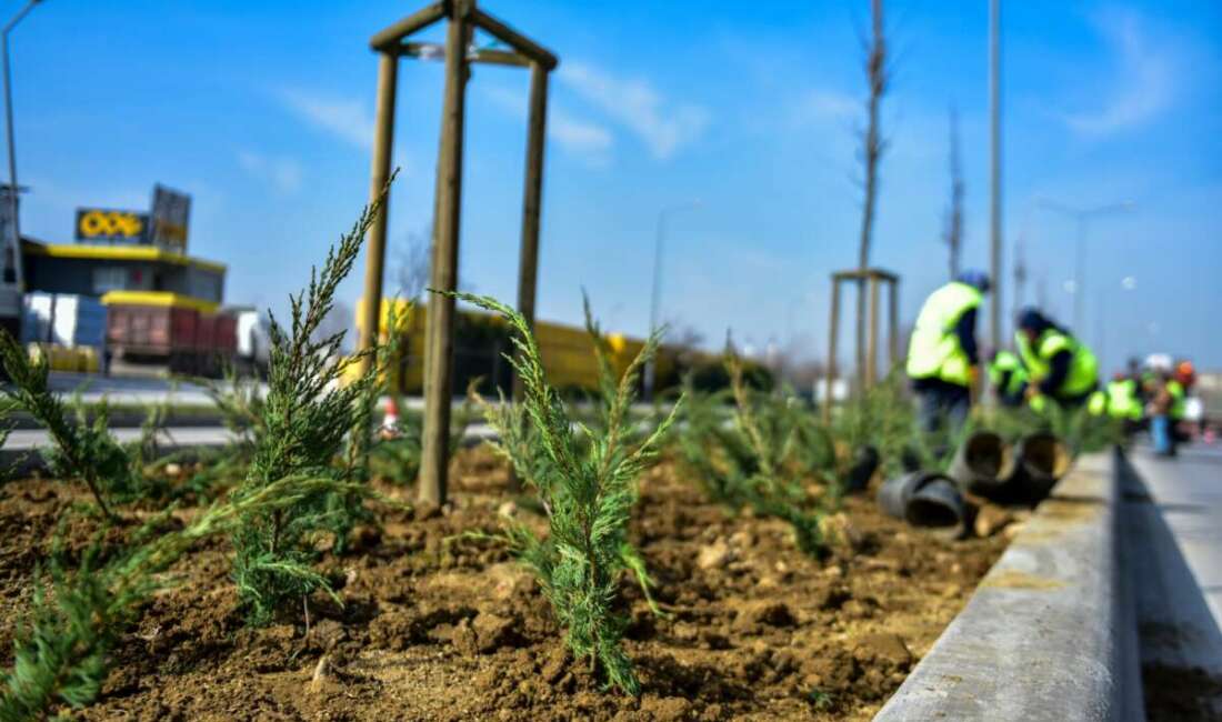 Kestel Ankara Bulvarı’ndaki orta