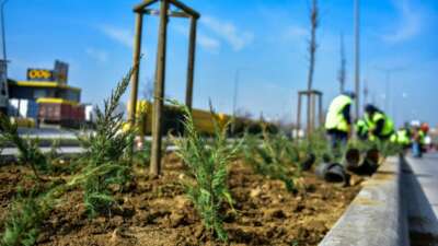 Kestel Ankara Bulvarı’ndaki orta refüjde