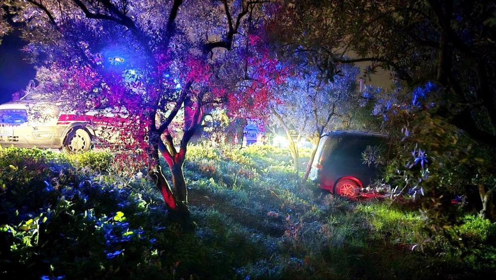 Bursa’da önündeki araca çarpmadı, zeytinliğe uçtu! Bursa'nın Mudanya ilçesinde