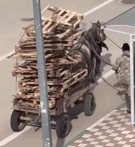 Bursa’da tepki çeken olay! Bursa’nın Karacabey ilçesinde bir