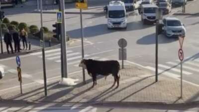  Bursa'nın Yıldırım ilçesinde bir