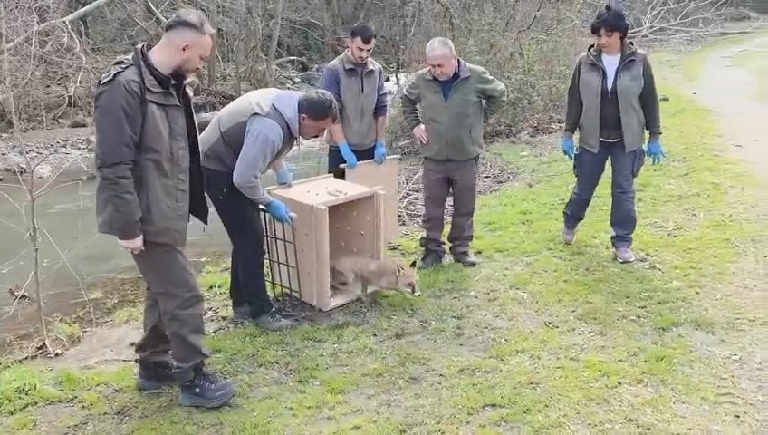 Bursa'nın Karacabey ilçesinde