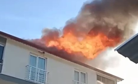 Bursa’nın İznik ilçesinde meydana