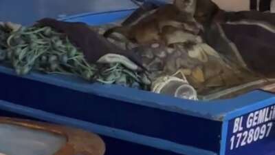 Bursa’nın Gemlik ilçesinde Kayıkhane Limanı,